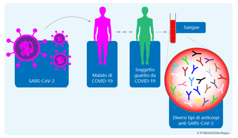Progetto CoronAId: Linfociti B della memoria, Immunogenetica e Intelligenza artificiale per diagnosi e terapie Anti-COVID di precisione