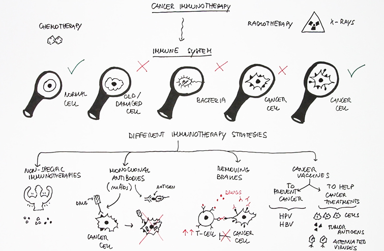 Immunoterapia e cancro