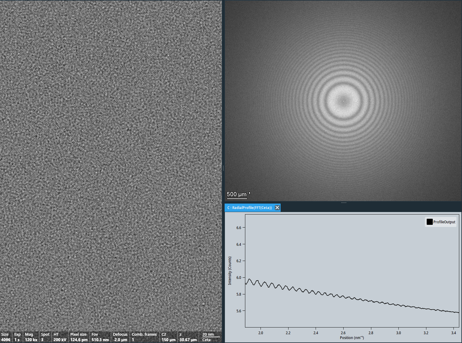 Gallery_ElectronMicroDNA-002